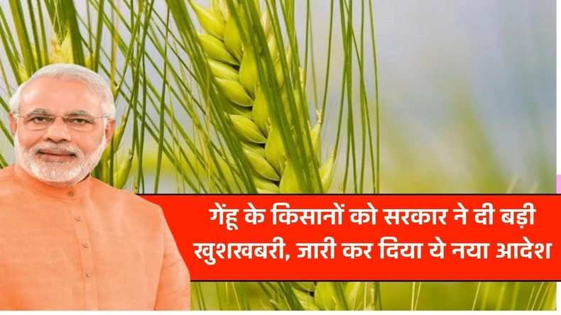 Good News: गेंहू के किसानों को सरकार ने दी बड़ी खुशखबरी, जारी कर दिया ये नया आदेश